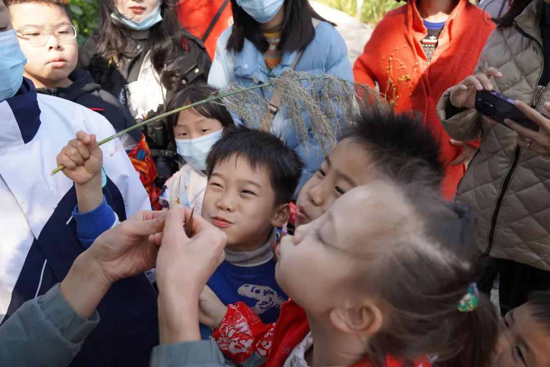活动回顾|在坝光的山海中学习人与自然和谐共处