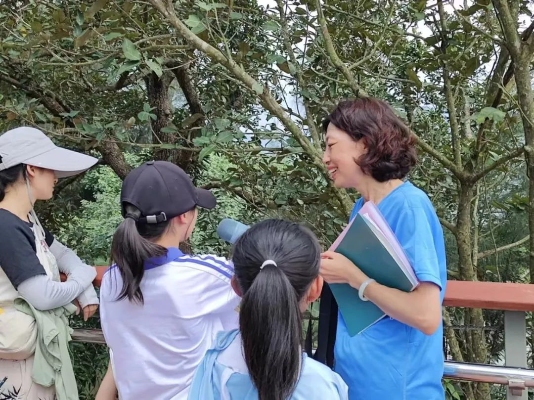 夏日蝉鸣，坝光银叶树湿地公园里的昆虫大寻宝